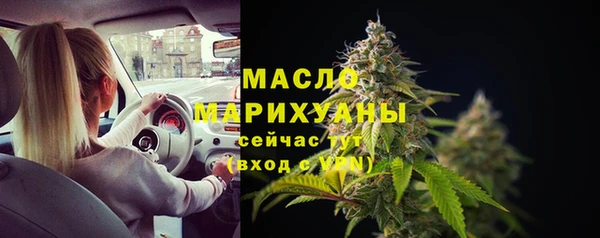 винт Каменка