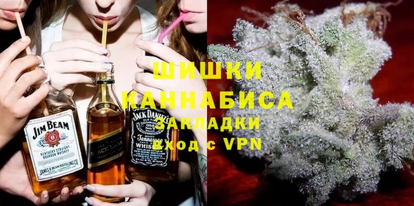 стаф Каменногорск