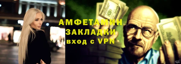 стаф Каменногорск