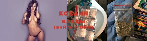 винт Каменка
