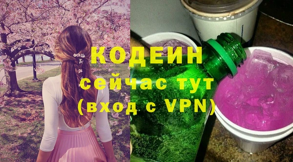 стаф Каменногорск