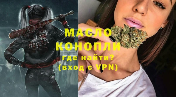 винт Каменка
