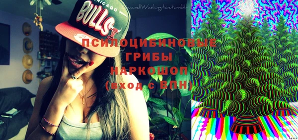 амф Инта