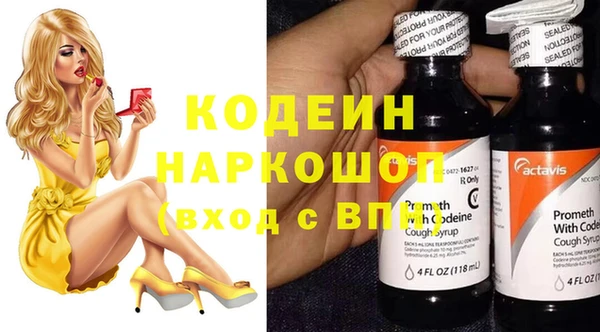 винт Каменка