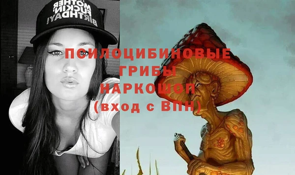 стаф Каменногорск