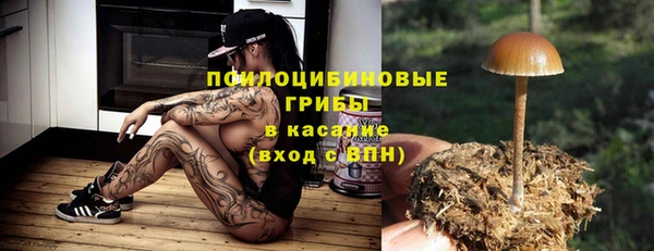 стаф Каменногорск