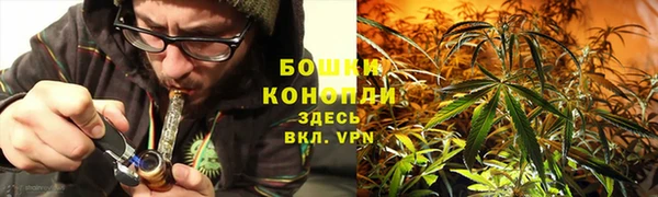 стаф Каменногорск