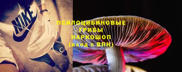 винт Каменка