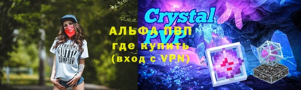 стаф Каменногорск