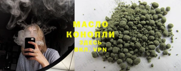винт Каменка