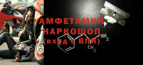 стаф Каменногорск