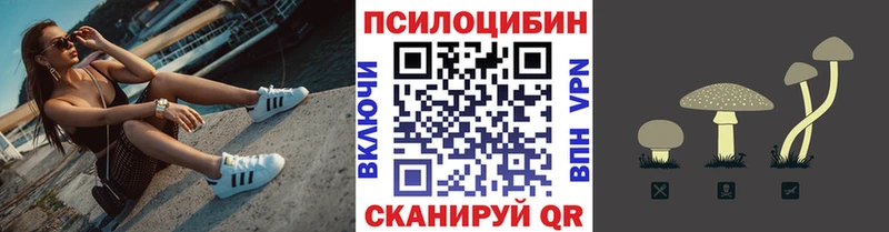 Псилоцибиновые грибы Cubensis  Купить  Ярцево 